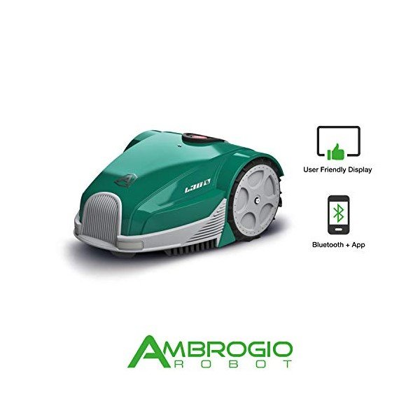 ambrogio-1.jpg